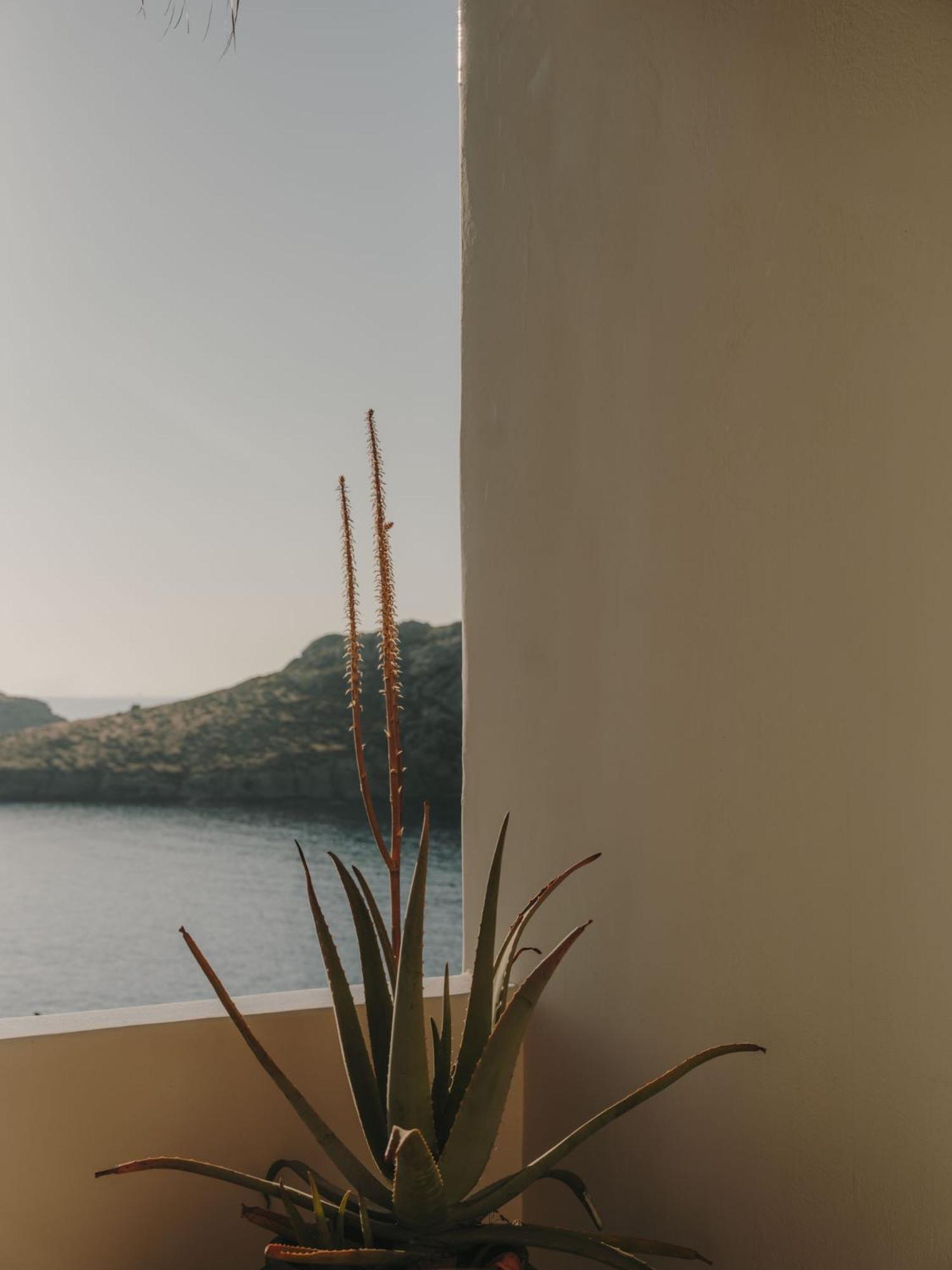 The Wild By Interni Hotel Kalafatis Exterior photo